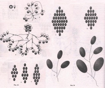 схема плетения маленьих роз из бисера