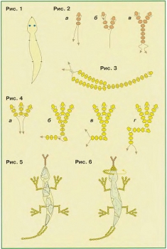 схема разноцветных ящериц из бисера