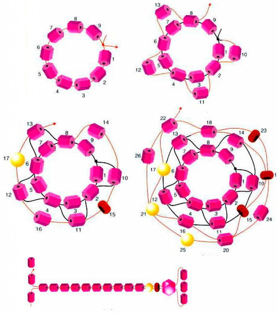 Схема изделия из бисера