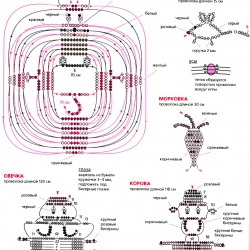 схема плетения игрушки из бисера