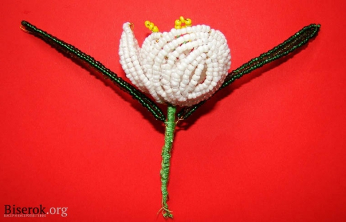 крокус из бисера