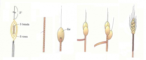 колосы колоски из бисера, схема, французская техника плетения, пшеница