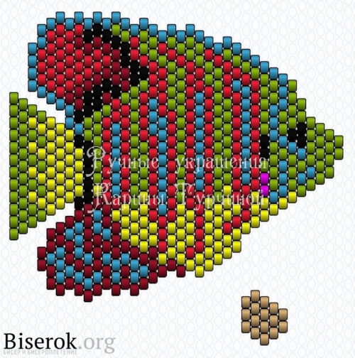 Королевская рыба-ангел схема кирпичное плетение брелок своими руками